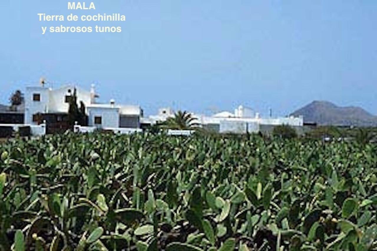 Casa "Gara" Mala-Lanzarote Norte Apartment Exterior photo